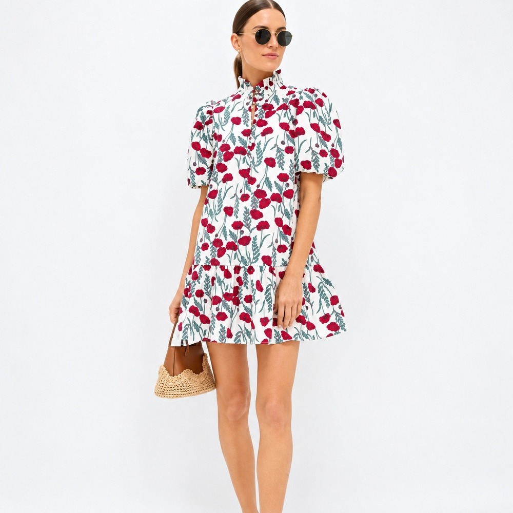 Hyacinth House Amaryllis Mimsy Mini Dress Cream Red Floral Ruffle Neck Small